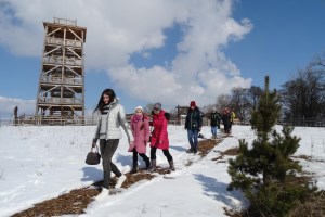 Парк природы Беремицкое